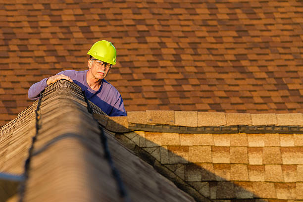 Best Roof Waterproofing Services  in Salt Creek Commons, IN
