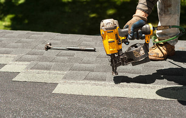 Roof Gutter Cleaning in Salt Creek Commons, IN